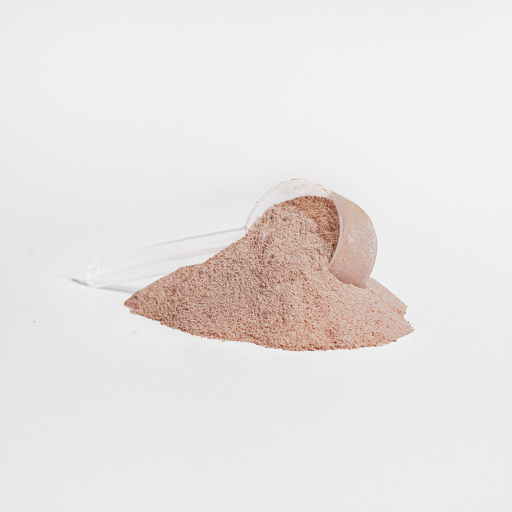 LEGACYrepair Grass-Fed Collagen Peptides (Chocolate)